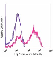 APC anti-mouse I-Ab Antibody (116417)