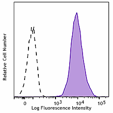 PE anti-human CD80 Antibody (375409)