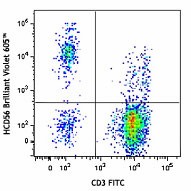 Brilliant Violet 605™ anti-human CD56 (NCAM) Antibody (318333)