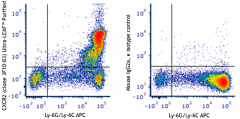 Ultra-LEAF™ Purified anti-mouse CD182 (CXCR2) Antibody (163903)