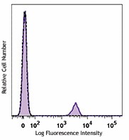 PE anti-human CD19 Antibody (363003)