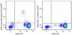 Spark PLUS UV395™ anti-human CD34 Antibody (343551)