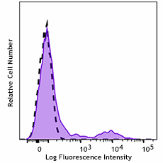 GMP Spark Violet™ 423 anti-human HLA-DR Antibody (260502)