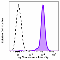 Purified anti-mouse CD45.1 Recombinant Antibody (160502)
