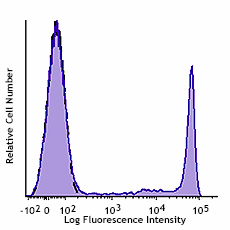 GMP PE anti-human CD8 Antibody (260094)
