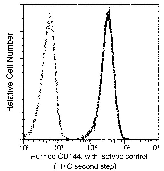 Recombinant VE-Cadherin/CD144/CDH5 Monoclonal Antibody (AN300186P)