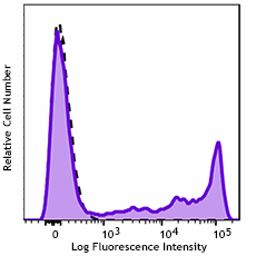 GMP PerCP/Cyanine 5.5 anti-human CD8 Antibody (260230)