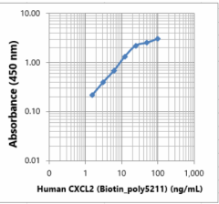 Biotin anti-human CXCL2 Antibody