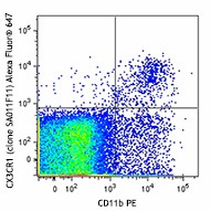 Alexa Fluor® 647 anti-mouse CX3CR1 Antibody (149003)