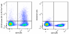 PE/Fire™ 640 anti-mouse CD138 (Syndecan-1) Antibody (142543)