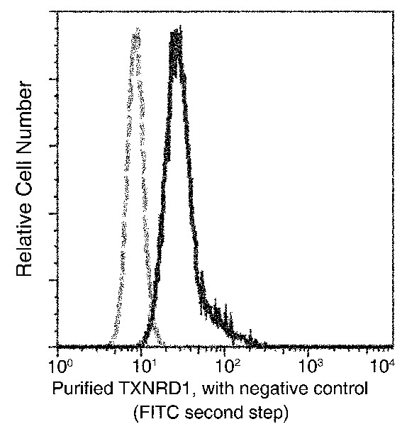 TXNRD1 Monoclonal Antibody (AN200069P)