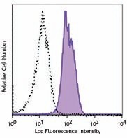 Alexa Fluor® 647 anti-XBP-1s Antibody (647505)