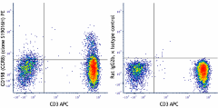 PE anti-human CD198 (CCR8) Antibody (365803)