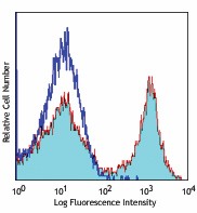 PerCP anti-mouse/human CD11b Antibody (101229)