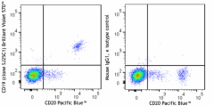 Brilliant Violet 570™ anti-human CD19 Antibody (363055)