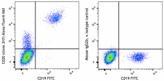 Alexa Fluor® 660 anti-human CD20 Antibody (302381)