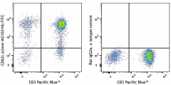 FITC anti-human CD62L Antibody (384813)