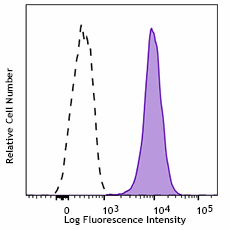 Brilliant Violet 421™ anti-human CD107b (LAMP-2) Antibody (354308)
