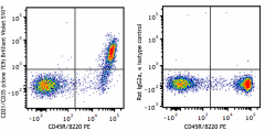 Brilliant Violet 510™ anti-mouse CD21/CD35 (CR2/CR1) Antibody (123437)