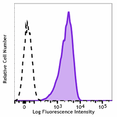 Brilliant Violet 711™ anti-human CD80 Antibody (305235)