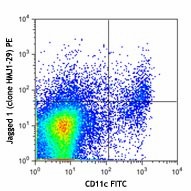 PE anti-mouse CD339 (Jagged 1) Antibody (130907)