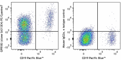 PE/Cyanine7 anti-human GPR183 (EBI2) Antibody (368915)