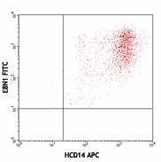 FITC anti-human IL-8 Antibody (511406)