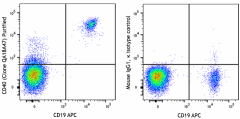 Purified anti-human CD40 Recombinant Antibody (325802)
