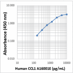Purified anti-human CCL1 (I-309) Antibody
