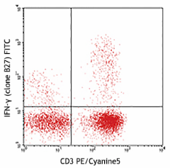 FITC anti-human IFN-γ Antibody (506504)