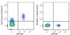 PE anti-human CD275 (B7-H2, ICOSL) Antibody (387503)