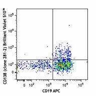 Brilliant Violet 510™ anti-mouse CD138 (Syndecan-1) Antibody (142521)