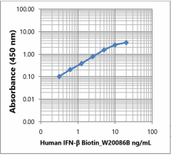 Biotin anti-human IFN-β Antibody (617553)