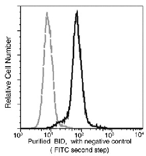 BID Monoclonal Antibody (AN200104P)