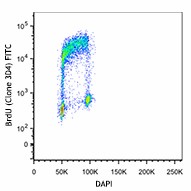 FITC anti-BrdU Antibody (364103)
