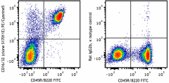 PE/Cyanine5 anti-mouse CD16/32 Antibody (156617)