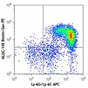 Biotin anti-mouse CD205 (DEC-205) Antibody (138211)