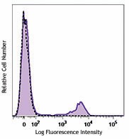 PE/Dazzle™ 594 anti-human CD56 (NCAM) Antibody (318347)