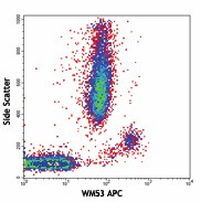 APC anti-human CD33 Antibody (303407)