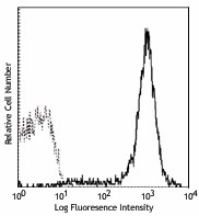 PE anti-mouse H-2Kk Antibody (114907)