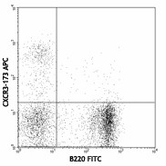 APC anti-mouse CD183 (CXCR3) Antibody (126511)