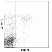 PE anti-human CD158b/j (KIR2DL2/L3/S2) Antibody (312605)