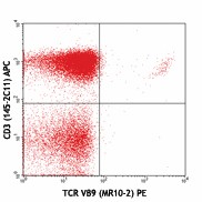 PE anti-mouse TCR Vβ9 Antibody (139803)