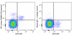 PE/Cyanine7 anti-SPI1 (PU.1) Antibody (658013)