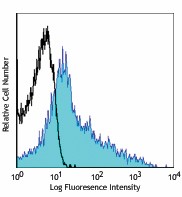 APC anti-mouse CD43 Activation-Associated Glycoform Antibody (121213)
