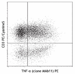 PE anti-human TNF-α Antibody (502908)