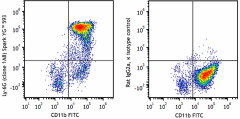Spark YG™ 593 anti-mouse Ly-6G Antibody (127667)