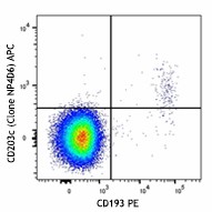 APC anti-human CD203c (E-NPP3) Antibody (324609)
