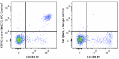 APC/Cyanine7 anti-mouse P2RY12 Antibody (848023)