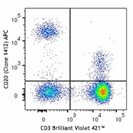 APC anti-human CD20 (cytoplasmic) Antibody (340516)